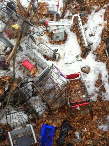 The Great Shopping Cart Massacre