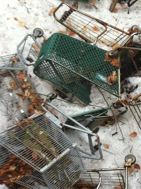 The Great Shopping Cart Massacre