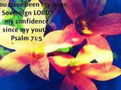 Word Week Psalm 71:5