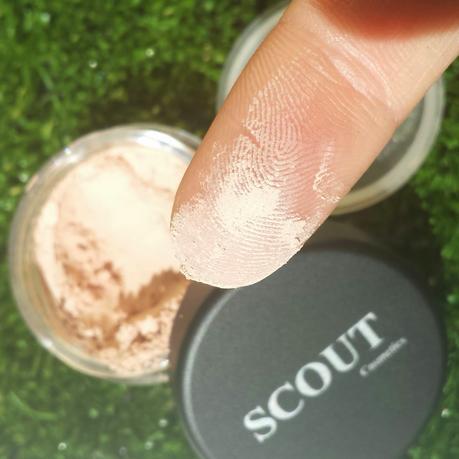 SCOUT