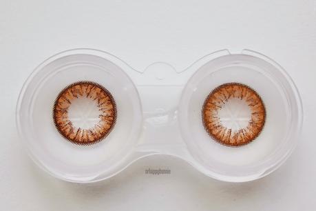 [Klenspop] Lenspop Bunny Color Brown Circle Lens Review