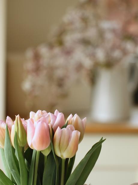 Pink-Tulips -and- Blossom.
