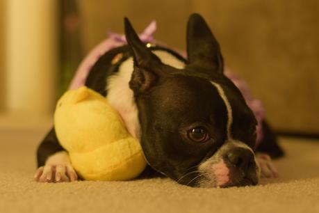 Celebrating Easter with Maya & Peeps