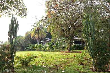 Sohano Island, Bougainville