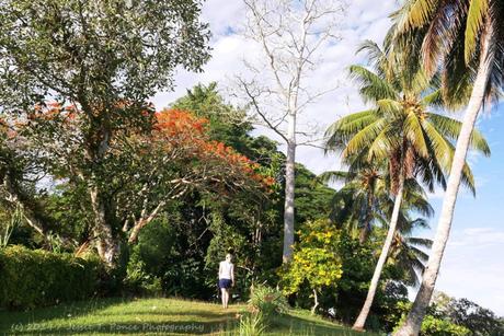 Sohano Island, Bougainville