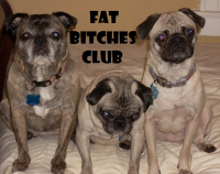 Fat Bitches Club