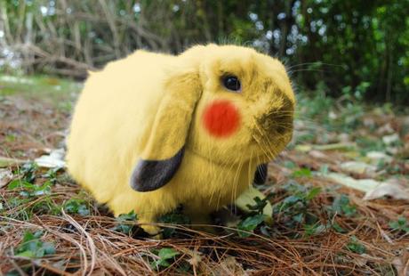 Top 10 Amazing April Fools Rabbits