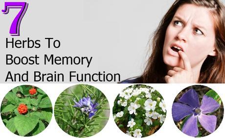 herbal remedies for improving memory