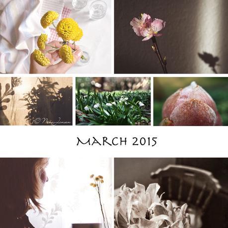 Month in Photos [March 2015]
