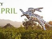 Napa Valley Celebrates Arts April!