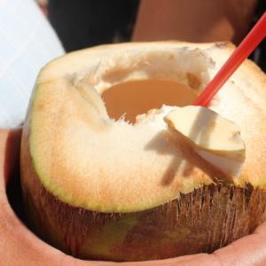 Fresh Coconut Water