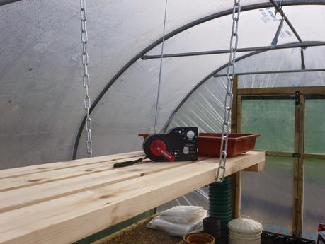 Life in the Polytunnel