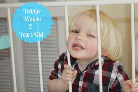 Toddler Watch: Tyne At Two!!