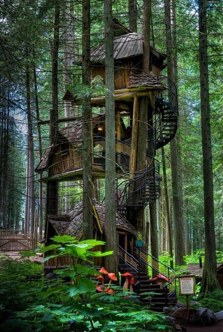 Friday Favorites  - Homes, Hotels and Treehouses