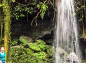 Postcard: Emerald Pool, Dominica #TheWeeklyPostcard
