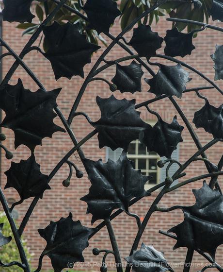 Ironwork Leaves on a Garden Gate , Savannah, Georgia © 2015 Patty Hankins