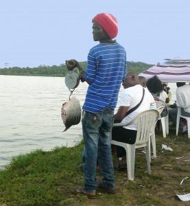 Guide to eating fish, Lake Victoria - Diary of a Muzungu 