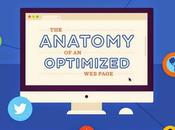 Anatomy Optimized Page