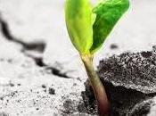 Giles Fraser: Church Best When Fails, Gives Ecclesiastical Glitter, Weeds Start Break Through Floor"