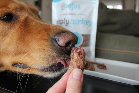 Simple Dog Treats That Made Our List