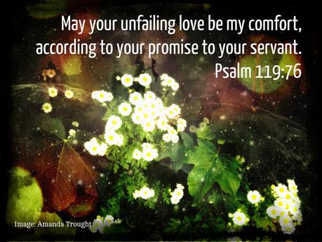 Word for the Week - Psalm 119:76