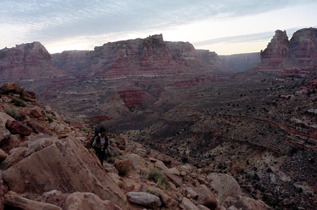 Day 11: Hite Done Right