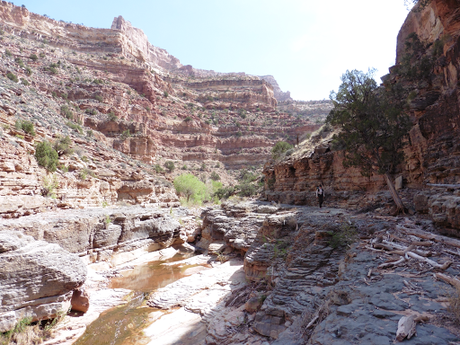 Day 10: Seeing The Light In Dark Canyon