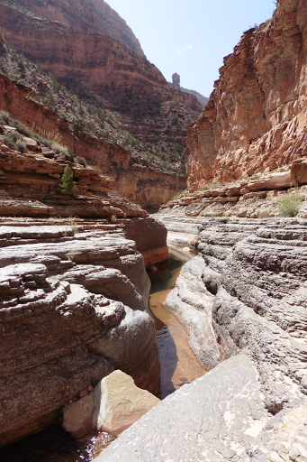 Day 10: Seeing The Light In Dark Canyon