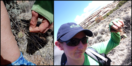 Day 8: Rebounding In Salt Creek