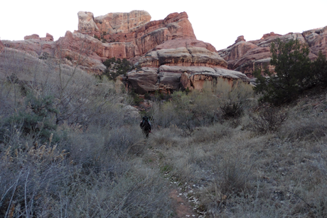 Day 8: Rebounding In Salt Creek