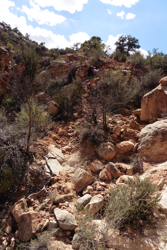 Day 8: Rebounding In Salt Creek