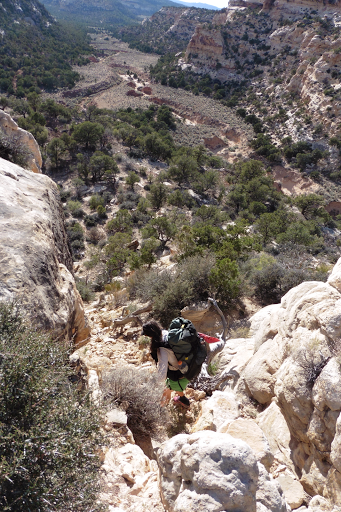 Day 8: Rebounding In Salt Creek