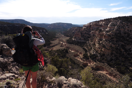 Day 8: Rebounding In Salt Creek