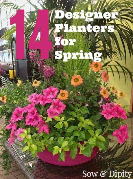 14 Designer Planters for Spring