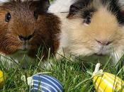 Photos: Cute Pets Celebrate Easter