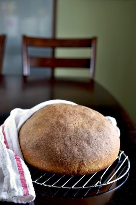 Swedish Limpa (Rye Bread)