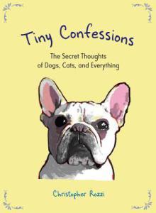 Book Review: Tiny Confessions – Christopher Rozzi