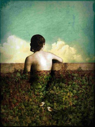 The View by Catrin Welz-Stein via Red Bubble