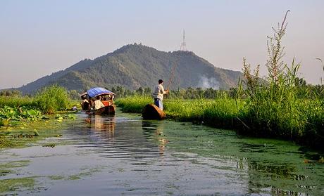 Fishing in Kashmir