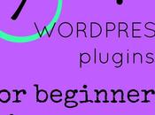 WordPress Plugins: Beginner