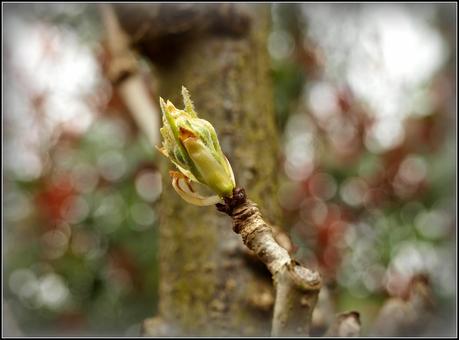 Signs of Spring