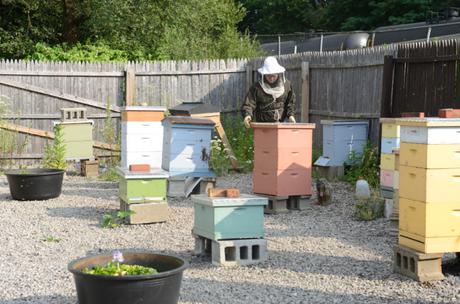 Meet A Beekeeper // www.WithTheGrains.com
