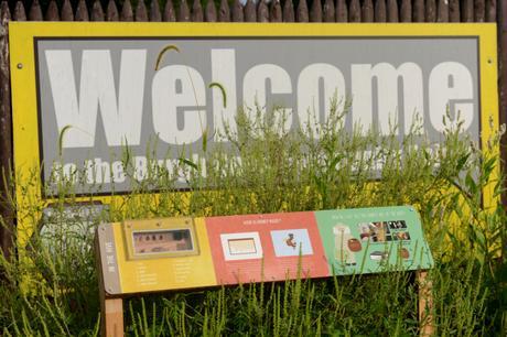 Meet A Beekeeper Meet A Beekeeper // www.WithTheGrains.com