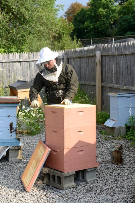 Meet A Beekeeper Meet A Beekeeper // www.WithTheGrains.com