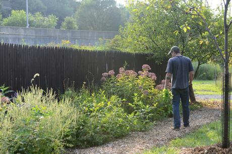 Meet A Beekeeper Meet A Beekeeper // www.WithTheGrains.com