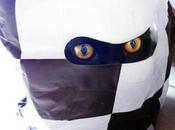 Super Ninja Cats, Masters Ancient Ninjutsu!