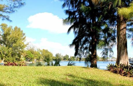 Busy Mom? 5 easy ways to support your immune system! #24HourEsterC #ad 5 easy ways to support your immune system #24HourEsterC #ad