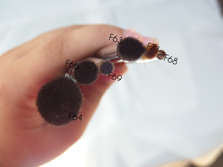 Review: Sigma Spot-on Concealer Kit