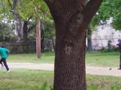 U.S. Supreme Court Largely Responsible Environment That Fatally Shoot Walter Scott