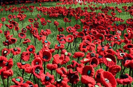 Melbourne International Flower and Garden Show